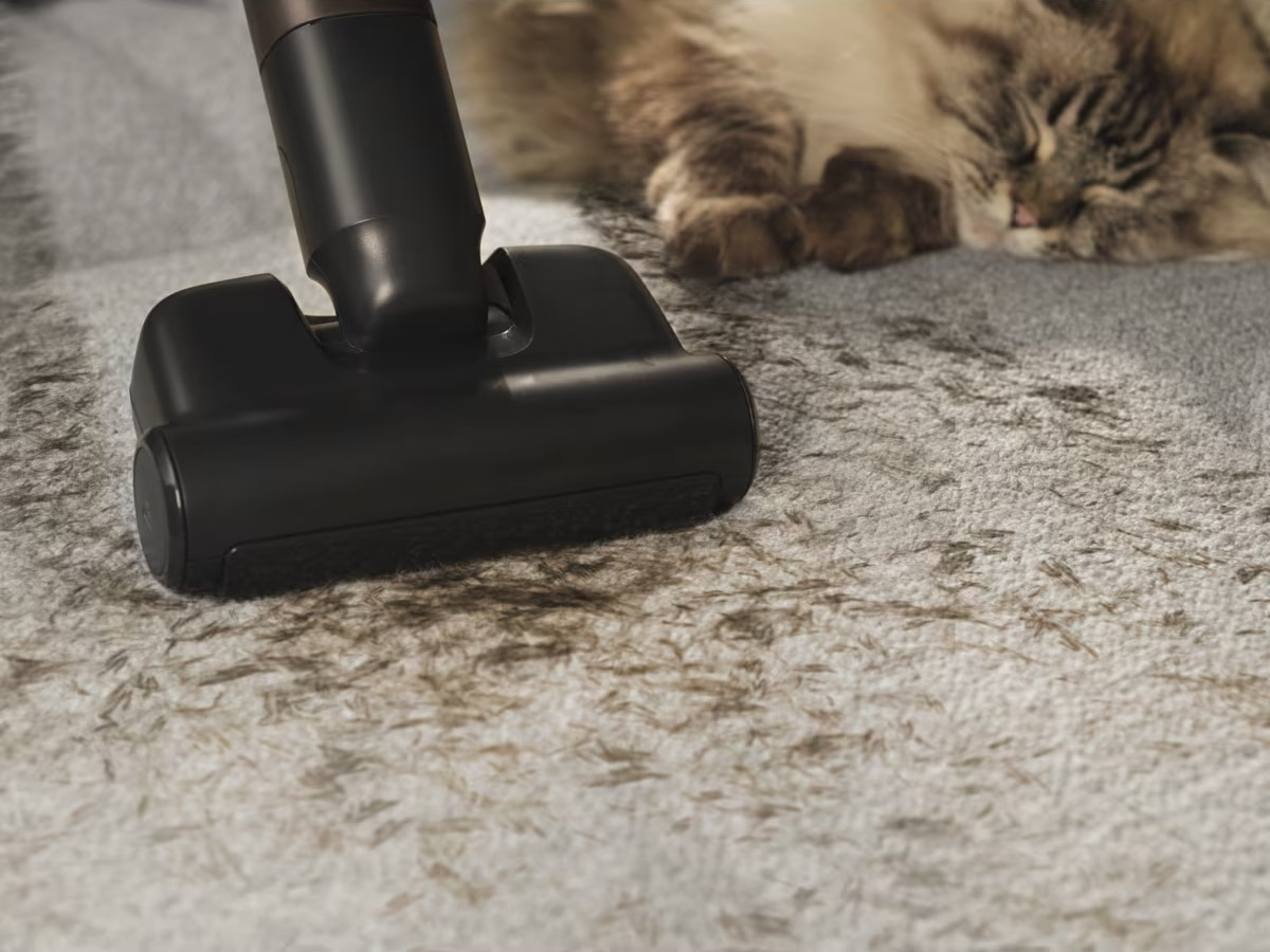 Elektroszczotka PetPro+ usuwa sierść z kanap, sof i tapicerki